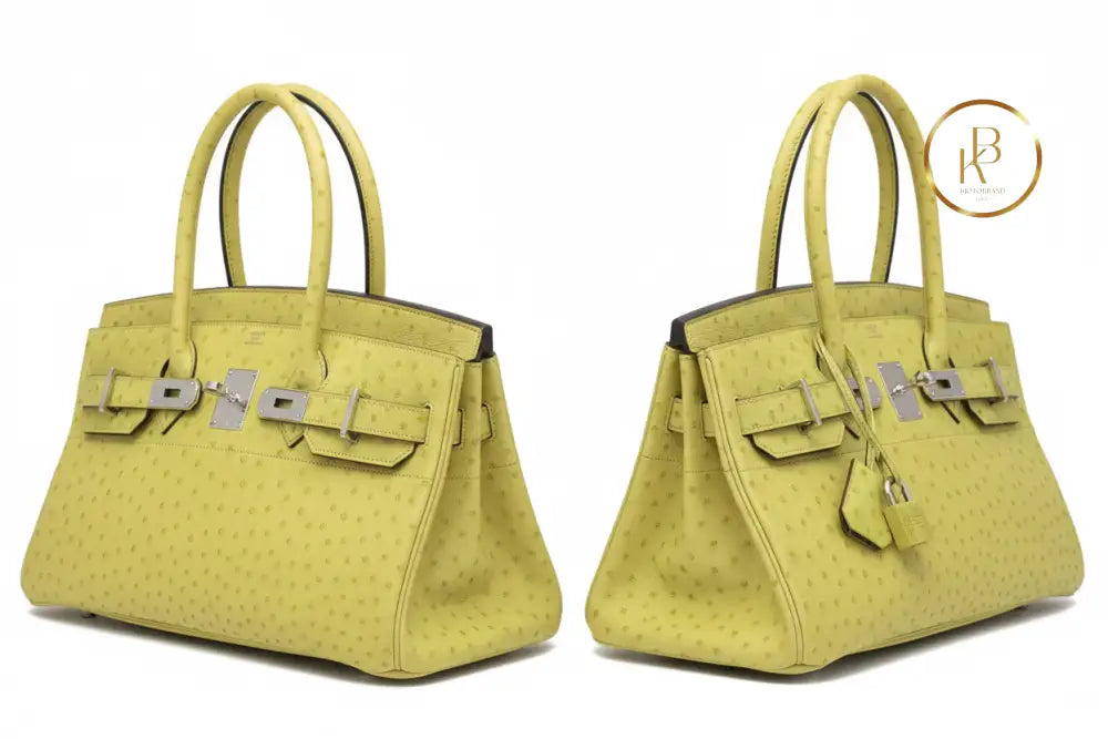 Birkin JPG Shoulder 42 I Vert Anis Ostrich Palladium handbags