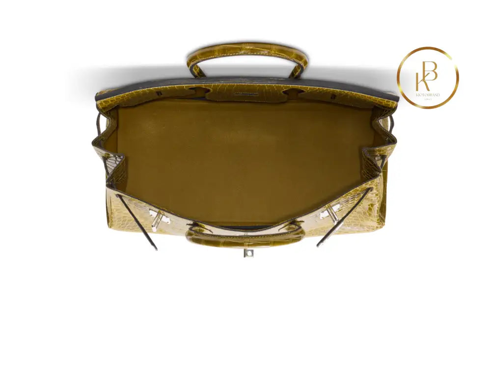 Birkin JPG Shoulder 42 Shiny Vert Anis Porosus Croco handbags