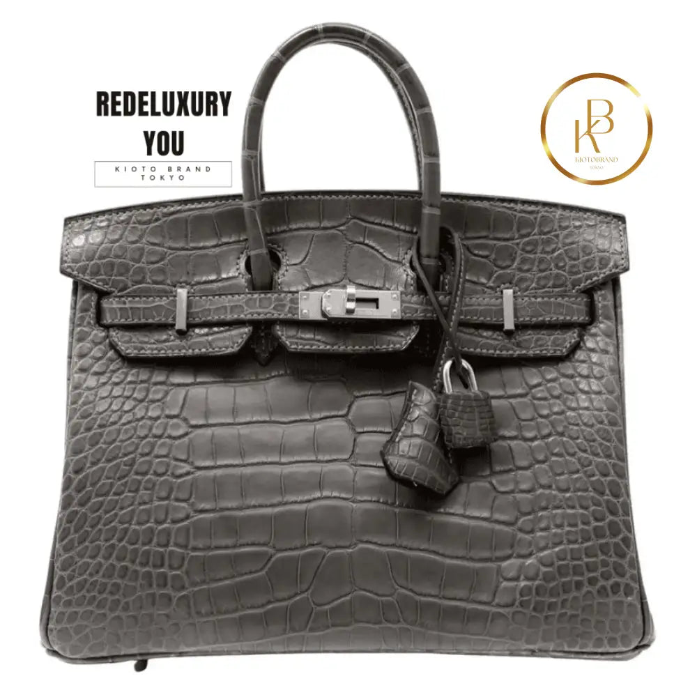 Birkin 25 Graphite Matte Crocodile