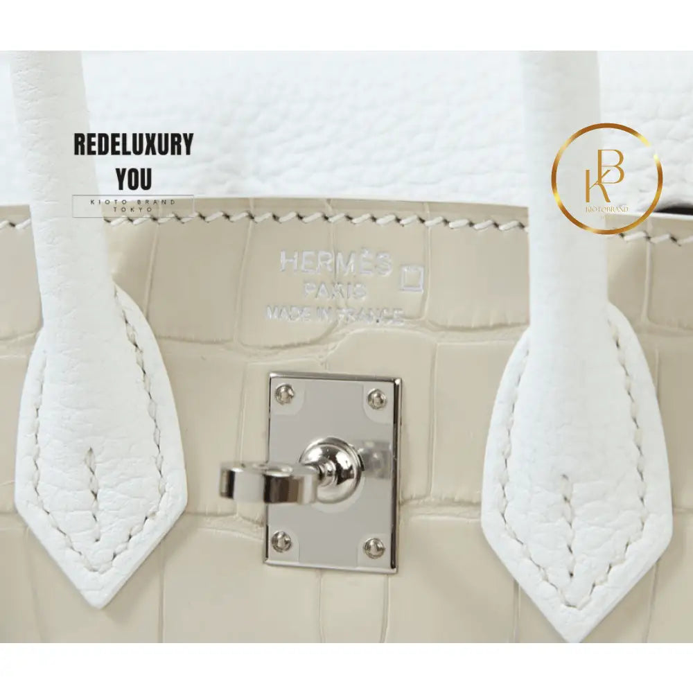 Birkin 20 Faubourg Matte Alligator White Handbags