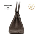 Birkin 30 Etain Ostrich 2022