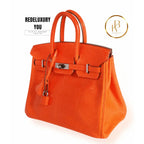 Birkin 25 Tangerine Shiny Lizard
