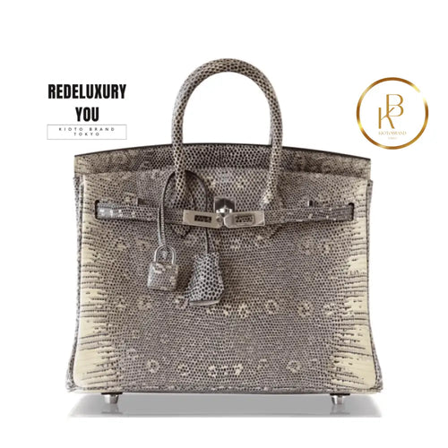Birkin 25 Ombre Lizard Palladium Hardware