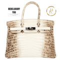 Birkin 30 Himalaya Matte Nile Croc