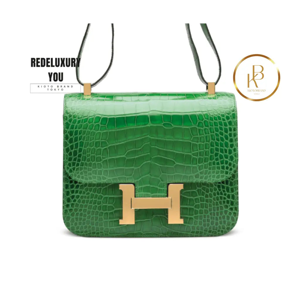 Constance 24 Shiny Cactus Alligator