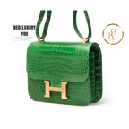 Constance 24 Shiny Cactus Alligator