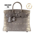 Birkin 25 Ombre Lizard Palladium Hardware
