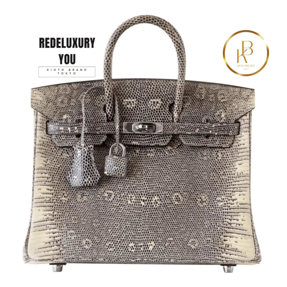 Birkin 25 Ombre Lizard Palladium Hardware