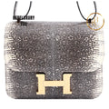 Lizard Constance Mini 18 Ombre
