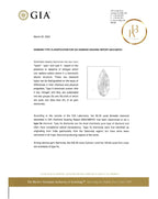 Harry Winston ’Briolette Of India’ Diamond And Necklace Necklace