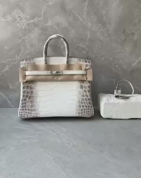 Birkin 25 Himalaya Matte Niloticus Croc