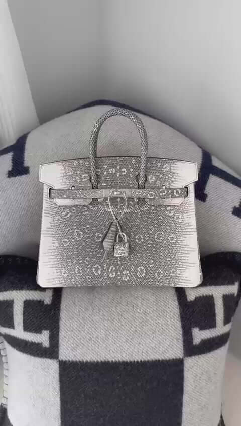 Birkin 25 Ombre Lizard Palladium Hardware