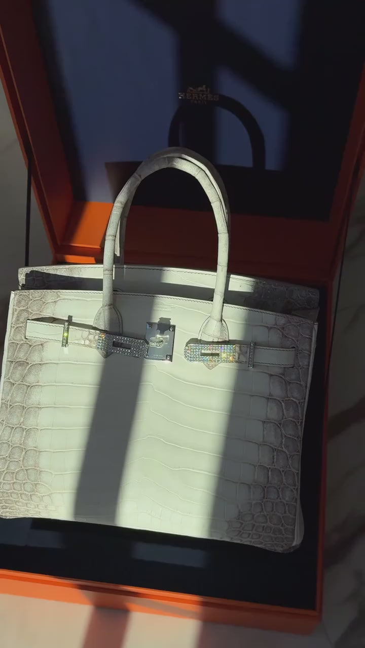 Birkin 30 Matte Himalaya Niloticus 18K White Gold Diamond Hardware